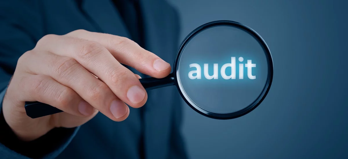 Audit in Italy